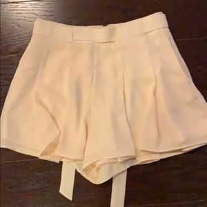 Aritzia Sunday Best Westley Short